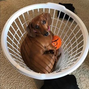 Meet your Posher, Deborah